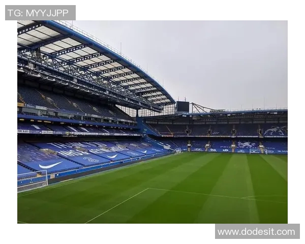 闪耀绿茵场的足球明星们以s开头的传奇故事与辉煌成就揭秘